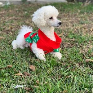 Meet your Posher, Alberto